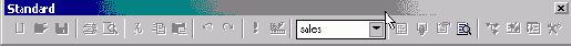      Visual FoxPro