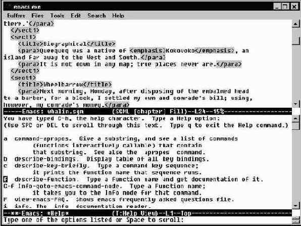 Emacs  
