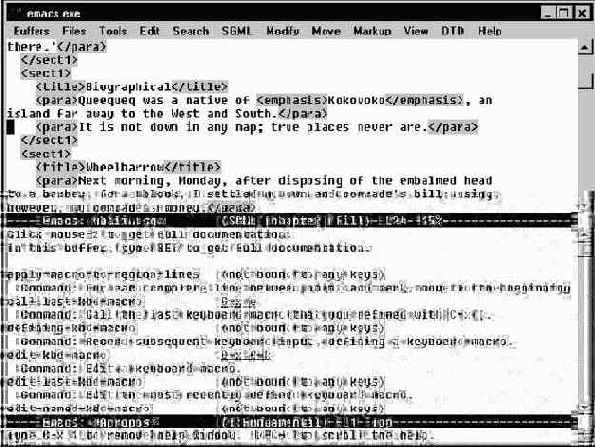Emacs  
