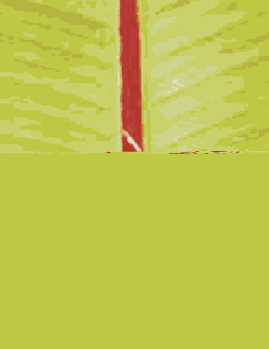    Acrobat
