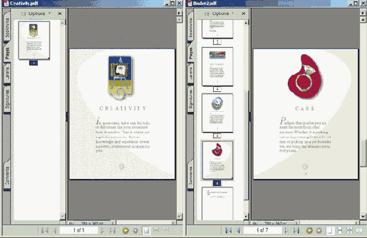  Adobe Acrobat
