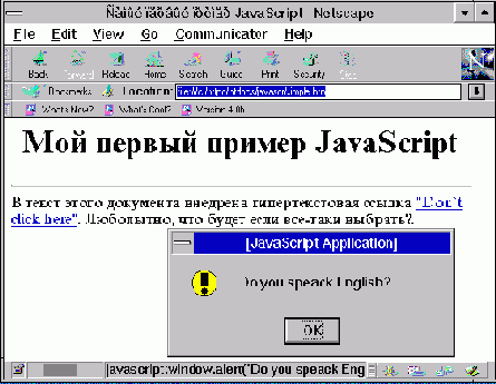      JavaScript
