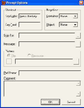   Prompt Options